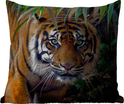 Produktbild von MuchoWow® Outdoor Kissen - Tiger - Blätter - Dschungel - Tiere - Wild - 45x45 cm - Wetterfest - Lounge Kissen - Fotokissen - Dekoratives Kissen
