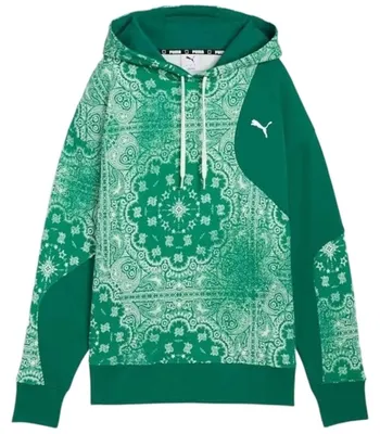 Produktbild von Hoodie Puma 072-8877 für Herren