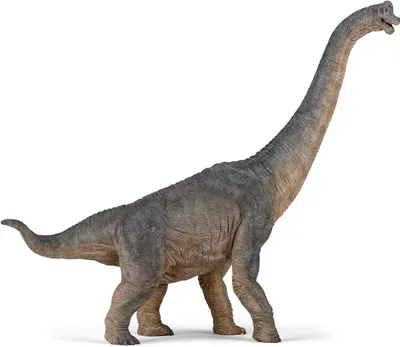 Immagine prodotto di Papo 55030 - Brachiosauro