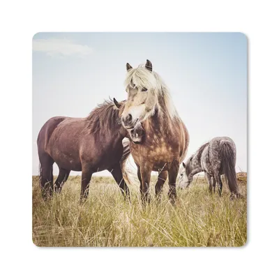 Produktbild von MuchoWow® Mauspad Mousepad Pferde - Gras - Frühling 20x20 cm - Mousepads - Maus Mat - Pad - Mausunterlage - Desk Mat - Bureauartikeln