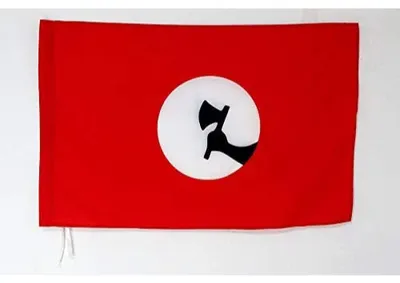 Sindhi-Flagge 90x60 cm, Polyester 100D, Masttunnel