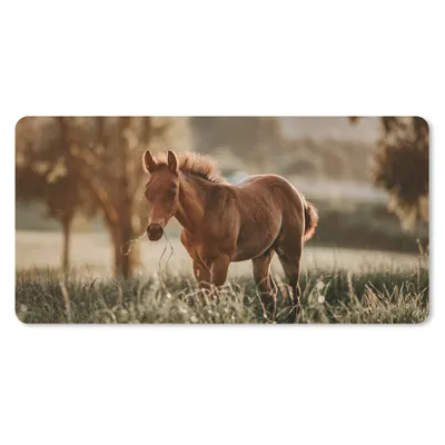 Produktbild von MuchoWow® Schreibtischunterlage Pferd - Licht - Wiese 80x40 cm - XXL Mauspad - Gaming Mauspad