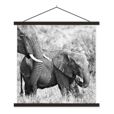 Produktbild von MuchoWow® Textilposter Elefant - Tiere - Gras - Schwarz und weiß 40x40 cm mit schwarzem Rahmen - Fotos