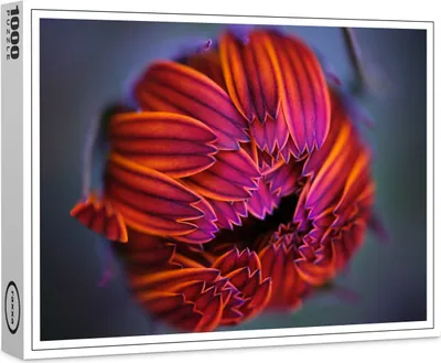 Image de puzzle premium raxxa "Calendula #001", 1000 pièces