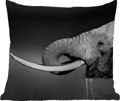 Produktbild von MuchoWow® Outdoor Kissen - Elefant - Wasser - Tiere - Schwarz - Weiß - 45x45 cm - Wetterfest - Lounge Kissen - Fotokissen - Dekoratives Kissen