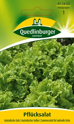 Produktbild von Pflücksalat Australische Gele | Pflücksalatsamen von Quedlinburger