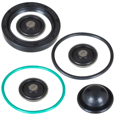 Immagine prodotto di Riparazione della pompa del carburante per Peugeot 406, modelli prodotti dal 05/2001 al 05/2004