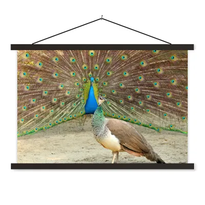 Produktbild von MuchoWow® Textilposter Pfaue - Vögel - Federn 150x100 cm mit schwarzem Rahmen - Schlafzimmer