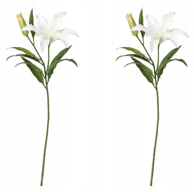 Produktbild von IKEA SMYCKA Künstliche Lilie Weiß 85 cm 2 Stück