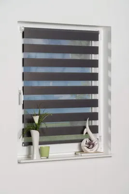 Klemmfix Doppelrollo 30x150 cm Grau halbtransparent