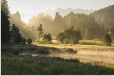 Produktbild von ARTland Wandbild Alu für Innen & Outdoor Sommermorgen in den Alpen Größe: 90x60 cm
