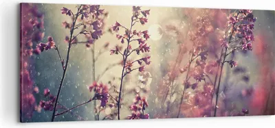 Produktbild von Bild auf Leinwand - Leinwandbild - Einteilig - Blumen Regen Licht - 100x40cm - Wand Bild - Wanddeko - Wandbilder - Leinwanddruck - Bilder - Wanddekoration - Leinwand bilder - Wandbild - AB100x40-4218