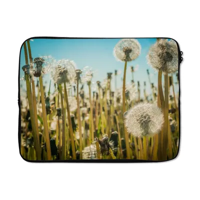 Produktbild von MuchoWow® Laptop Hülle 17 Zoll Laptoptasche Blumen - Löwenzahn - Gras - Zipper - Schutzabdeckung
