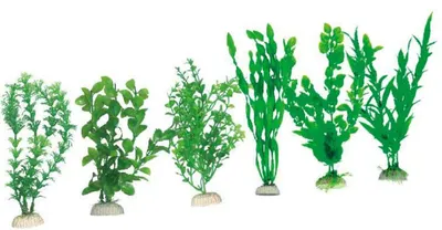 Produktbild von Aquarienpflanzen TATRAPET, künstliche Dekorationen, 6 Stk., mit Gewicht,15-20cm, verschiedene Designs, Packung 6 Stk. (Set: 6 Stück)