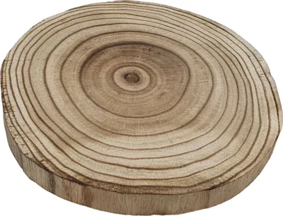 Image de Decoratie Boomschijf Paulownia Hout Gebrand, Ø 20cm