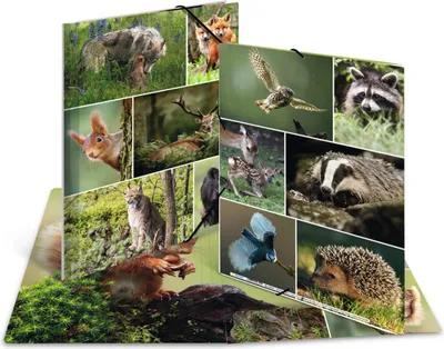 Produktbild von HERMA Eckspannermappe "Waldtiere" Karton DIN A3