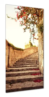 Produktbild von Wallario selbstklebende Duschrückwand 80 x 180 cm mit Motiv Steinerne Treppe in Italien - Wandverkleidung mit Hochglanzlaminat in Glasoptik