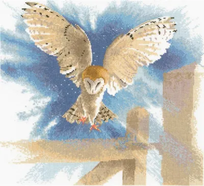 Obrázok produktu pre Súprava na vyšívanie krížikom "Sova v lete (L)", počítaný vzor, FFOF483-E, 34x34cm