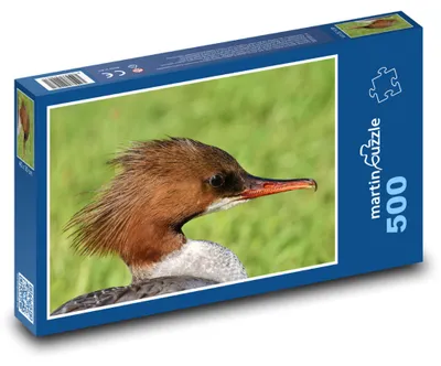 Zdjęcie produktu dla Puzzle 500 Nurogęś na wodzie - martinpuzzle