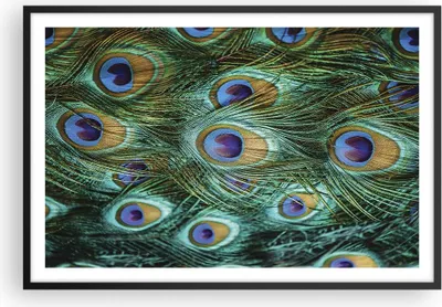 Produktbild von Gerahmtes Poster - Schwarzer Rahmen - Pfauen Feder Makro - 91,5x61 cm - Wand Bild - Wanddeko - Wandbilder - Kunstposter - Wandposter - Bilderrahmen - Bilder - Kunstdruck - Wandbild - P2BAA91x61-4159