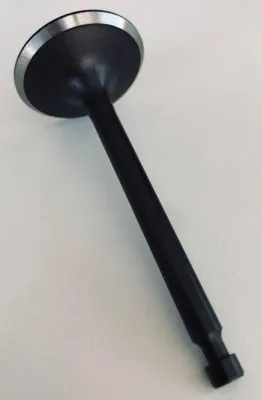 Produktbild von Ansaugventil Zongshen Xp420 100004534
