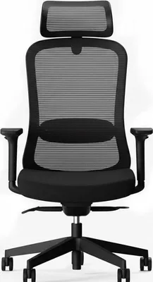 Immagine prodotto di Sedia da ufficio ergonomica YZ04B, nera