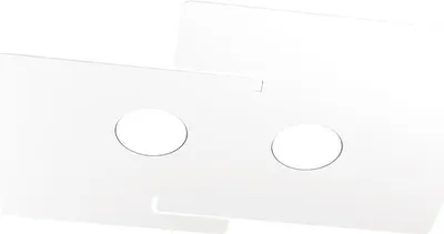 Obrázek produktu pro Moderní stropní svítidlo Echo Metal White 2 světla Gx53
