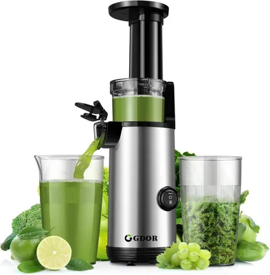 Langsamer Entsafter, 600 ml, leise, BPA-frei, inkl. Bürste