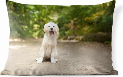 Produktbild von MuchoWow® Outdoor Kissen - Labrador Retriever Welpe sitzt auf einem Waldweg - 60x40 cm - Wetterfest - Lounge Kissen - Zierkissen - Kissen für Innenräume