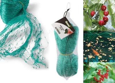Produktbild von GKA Vogelschutznetz 2 x 5 Meter Teichnetz Laubnetz Gartennetz Pflanzenschutznetz Netz Vogel Schutz