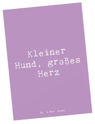 Produktbild von Mr. & Mrs. Panda Postkarte Spruch Chihuahua Liebe - Lavendeltraum - Geschenk, intelligente Hunde, Hunderassen Beschreibung, Hunderasse, kleine, Ansichtskarte, Hund
