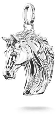 Immagine prodotto di Thomas Sabo - PE989-643-21 - Ciondolo - Donna