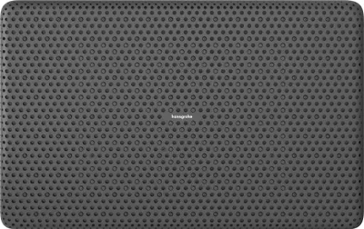 A dark gray shower head with a perforated surface.