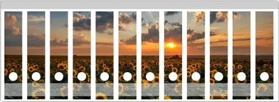 Produktbild von Wallario Ordnerrücken Sticker, selbstklebend für breite Ordner, 12 Stück, Motiv Sonnenblumenwiese vor Wolken mit Sonnenuntergang