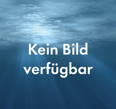 Produktbild von Filterschwamm für Saisonstart | TIGER-SHARK Serie | SHARKVAC | 2 St