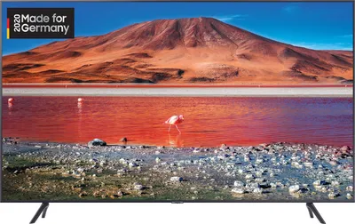 A Samsung television displaying a scenic landscape with a flamingo.