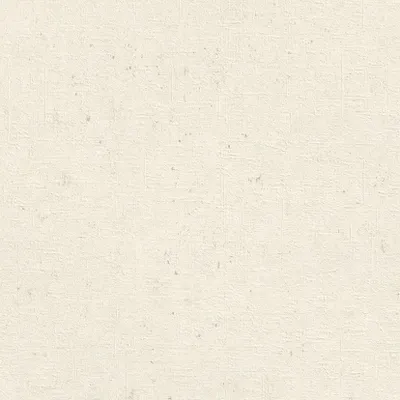 Obrázok produktu pre Vliesová tapeta 520828 Jednofarebná tapeta 53 x 1005 cm Rasch Factory V White
