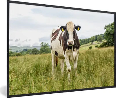 Produktbild von MuchoWow® MuchoWow® Gerahmtes Poster Kuh - Gras - Landschaft 60x40 cm - Poster mit zchwarzem Bilderrahmen - Printing - Wanddeko Schlafzimmer