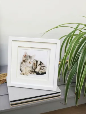 Produktbild von Deknudt S65KK1 Fotorahmen weiß Doppelpassepartout 13x13 cm