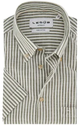 Produktbild von Hemd Ledub Modern Fit gestreift grün