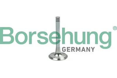 Produktbild von Borsehung B19002 Auslassventil für VW Golf IV Schrägheck (1J1) Golf V Schrägheck (1K1) TOURAN (1T1, 1T2) Transporter V Bus Multivan V