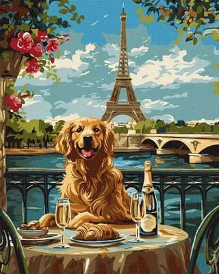 Immagine prodotto di Dipingere seguendo i numeri - Retriever a Parigi 40x50 cm - Ideyka