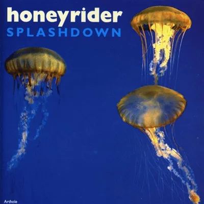 Zdjęcie produktu dla Splashdown
