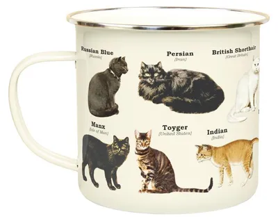 Obrázok produktu pre Gift Republic Katten – Smaltovaná šálka