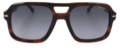 Immagine prodotto di Carrera Mod. Carrera 317 S Brown Horn