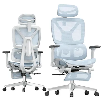 Obrázek produktu pro FLEXISPOT ErgoX: Ergonomická kancelářská židle s podnožkou, 3D podloketníky a opěrkou hlavy, 5D nastavitelná opěradlo, nosnost 136 kg, modrá barva
