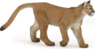 Produktbild von Papo Puma, 3 Jahr(e), Wild animal kingdom, Braun, PVC