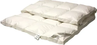 Produktbild von Betten Hofmann TRAUM Daunendecke Kassettendecke mit Außensteg 4x6 155x220 100%  Daunen
