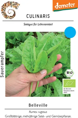 Produktbild von Sauerampfer Belleville | Sauerampfersamen von Culinaris