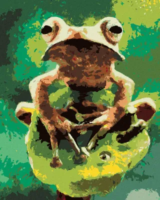 Produktbild von Zuty - Malen nach Zahlen - FROSCH IM WALD, 40x50 cm, ohne Keilrahmen